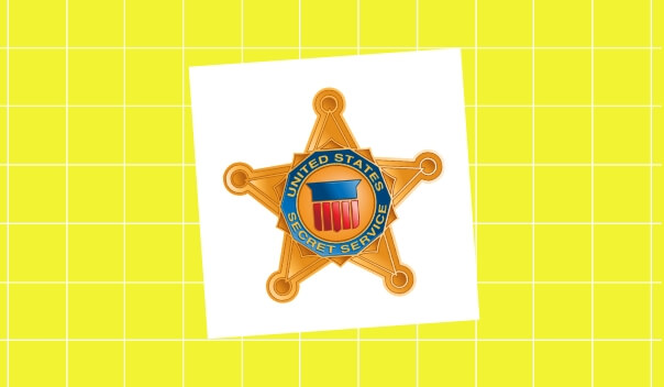 The United States Secret Service, featured image post